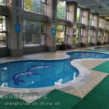 莱芜芬尼克兹空气能温泉加热设备 创新设计与技术研发引领绿色温泉新时代