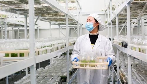 科技赋能温泉助农 设施创新撬动增收新途径